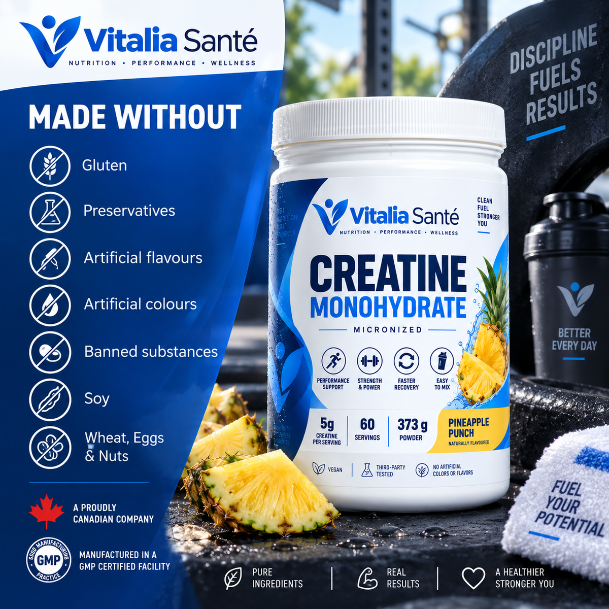 CREATINE MONOHYDRATE Pineapple Punch